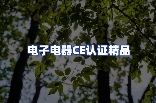 电子电器认证项目