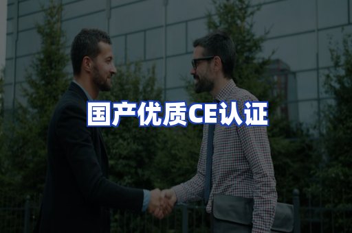 国产优质CE认证